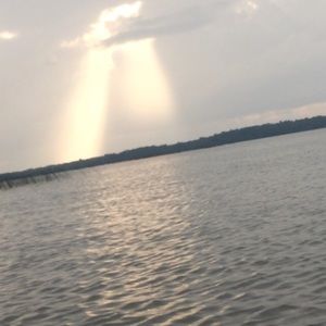 Meet your Posher, Amberly